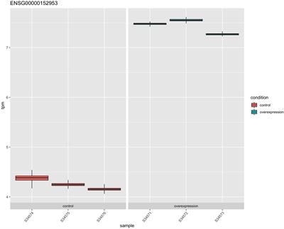 Transcriptomic Changes Resulting From STK32B Overexpression Identify Pathways Potentially Relevant to Essential Tremor